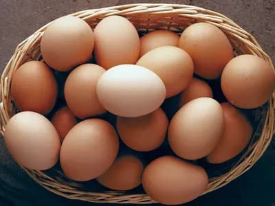 Farm Eggs Half Tray (15 count)