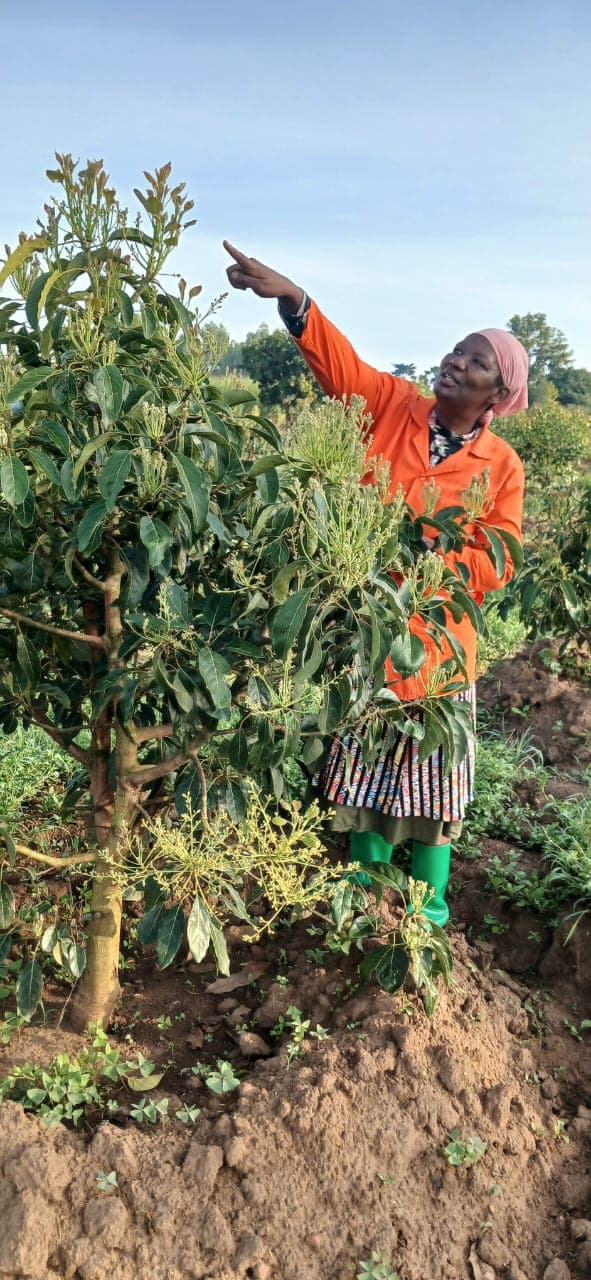 Esther Mbayo Mbulakubuza and farm operations